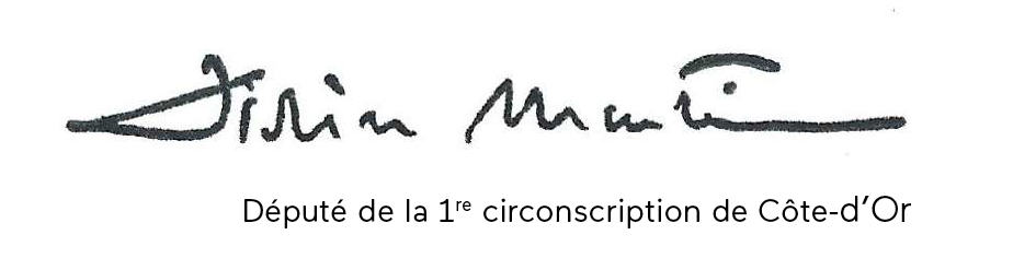 Signature Didier Martin